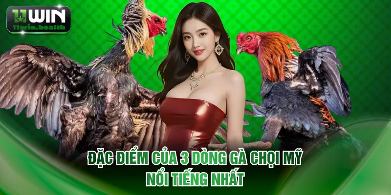 Đá Gà Mỹ Lôi Cuốn Người Xem Với Những Trận Đấu Hấp Dẫn 2 Đặc điểm của 3 dòng gà chọi Mỹ nổi tiếng nhất