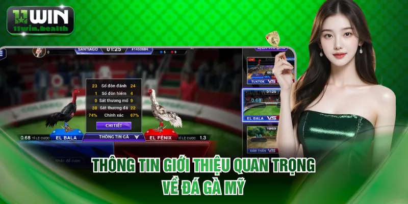 Đá Gà Mỹ Lôi Cuốn Người Xem Với Những Trận Đấu Hấp Dẫn 1 Thông tin giới thiệu quan trọng về đá gà Mỹ