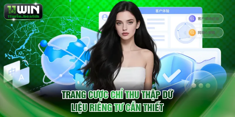 Chính Sách Bảo Mật 11WIN - Nguyên Tắc Quản Lý Dữ Liệu 2 Trang cược chỉ thu thập dữ liệu riêng tư cần thiết