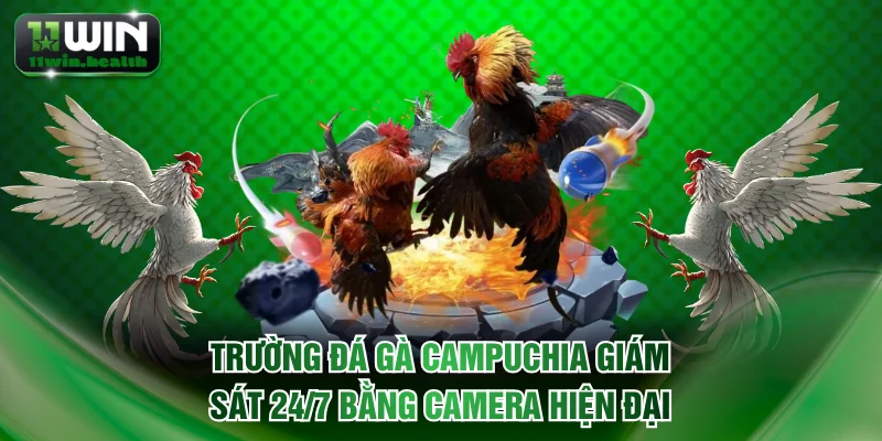 Đá Gà Campuchia | Trường Gà Hợp Pháp Cạnh Tranh Minh Bạch 1 Trường đá gà Campuchia giám sát 24/7 bằng camera hiện đại